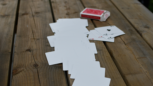 Alpha Deck (Cards and Online Instructions) by Richard Sanders - Trick alternate view - Wizard Magic Shop