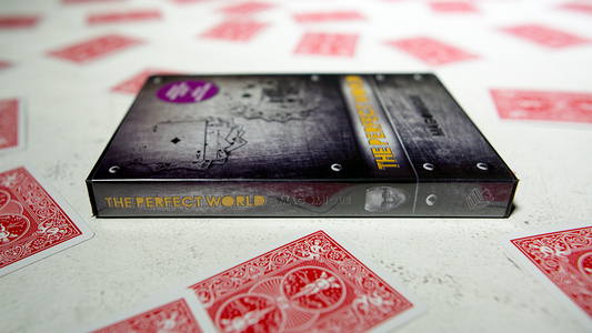 The Perfect World (DVD and Deck) Mago Migue and Luis De Matos alternate view - Wizard Magic Shop