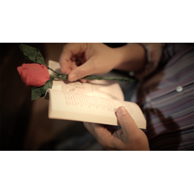 The Saint-Exerpury Rose by Vincent Mendoza & Lost Art Magic - Video DOWNLOA alternate view - Wizard Magic Shop