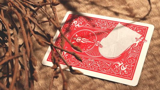 Paul Harris Presents Quantum Angel by Paul Harris - Trick alternate view - Wizard Magic Shop