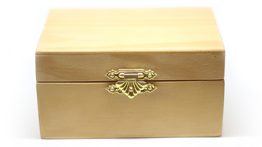 Haunted Box (Standard) by João Miranda - Trick alternate view - Wizard Magic Shop