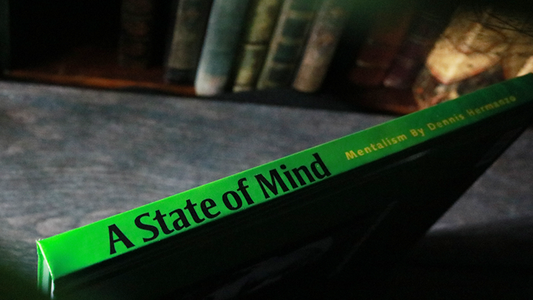 A State of Mind by Dennis Hermanzo - Book alternate view - Wizard Magic Shop