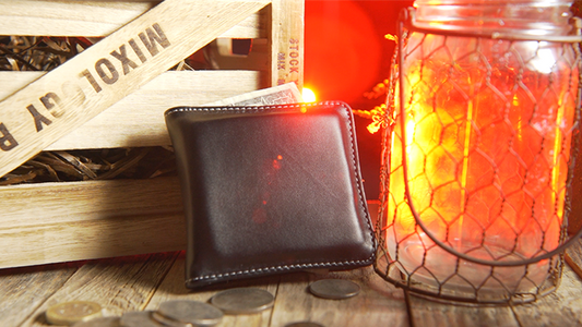 Easy Money Black Wallet (Gimmick and Online Instructions) by Spencer Kennard - Trick alternate view - Wizard Magic Shop