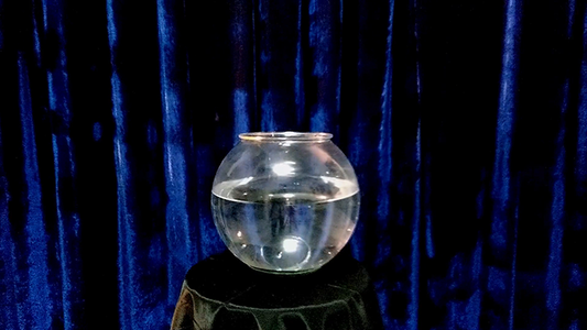 APPEARING FISH IN BOWL by Sorcier Magic alternate view - Wizard Magic Shop