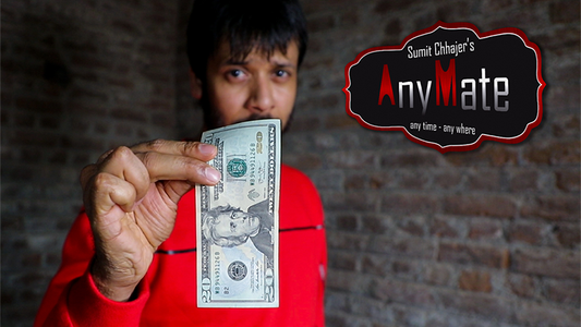 AnyMate by Sumit Chhajer video DOWNLOAD alternate view - Wizard Magic Shop