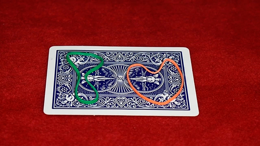 Bandimation by Luis Zavaleta video DOWNLOAD alternate view - Wizard Magic Shop