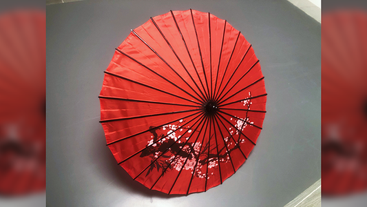 Dragon Parasol Set RED by LY & MS Magic alternate view - Wizard Magic Shop