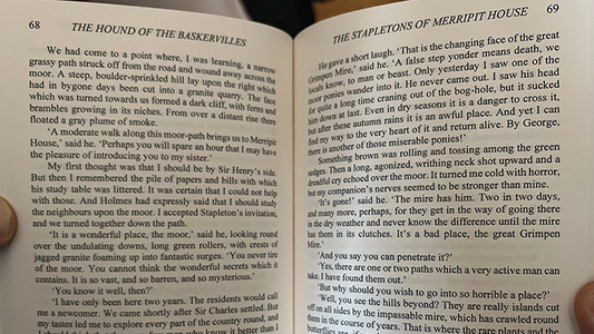 Facsimile (The Hound of the Baskervilles) by Michael Daniels - Trick alternate view - Wizard Magic Shop