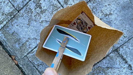 Insta Bag by Rian Lehman video DOWNLOAD alternate view - Wizard Magic Shop