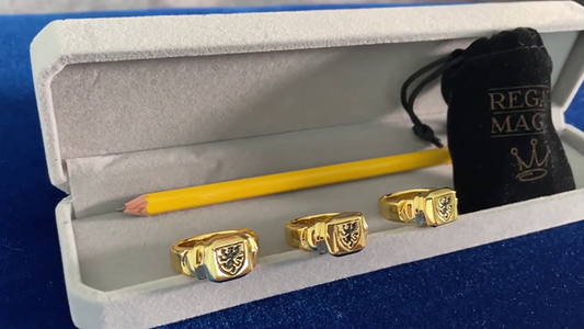Regal Rings by David Regal - Trick alternate view - Wizard Magic Shop