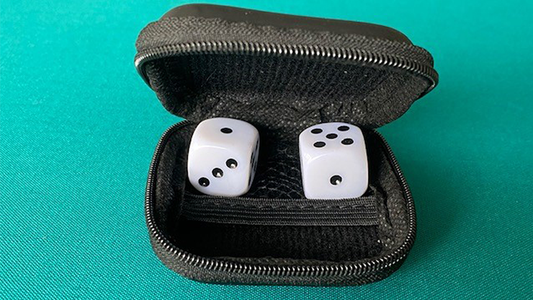 LS Dice by Leo Smetsers - Trick alternate view - Wizard Magic Shop