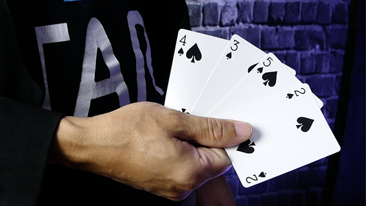 14 (Gimmicks and Online Instructions) by Pepo Capel & Crazy Jokers - Trick alternate view - Wizard Magic Shop