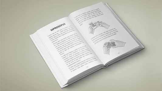 Multitude by Vincent Hedan - Book alternate view - Wizard Magic Shop