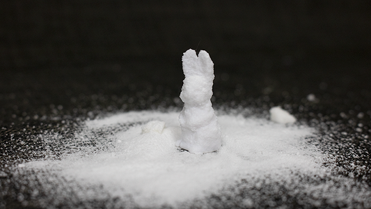 SUGAR BUNNY by Steve Fearson alternate view - Wizard Magic Shop