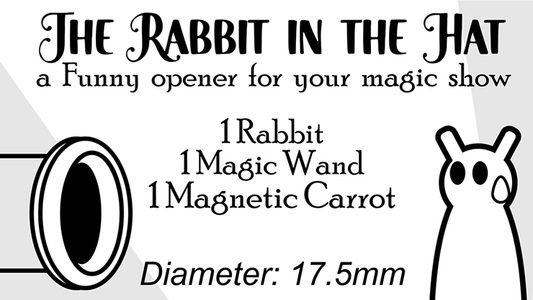 The Rabbit In the Hat by Creativity Lab alternate view - Wizard Magic Shop