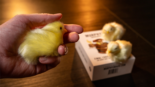 THE FINAL LOAD (Baby Chicks) by Murphy's Magic alternate view - Wizard Magic Shop