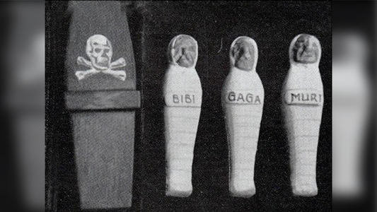 The Magic of Karl Elder - Godfather of Micro-Magic by Collector's Workshop alternate view - Wizard Magic Shop