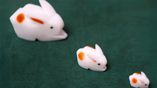 The Bunnies! 3D Rabbits (Parents, Kids & Grandpa) alternate view - Wizard Magic Shop
