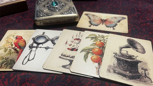 The Papilio Experiment by Dead Rebel alternate view - Wizard Magic Shop