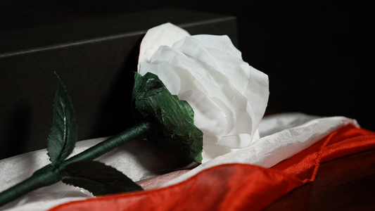 Fantasy Rose by Leon, Bond Lee & MS Magic alternate view - Wizard Magic Shop