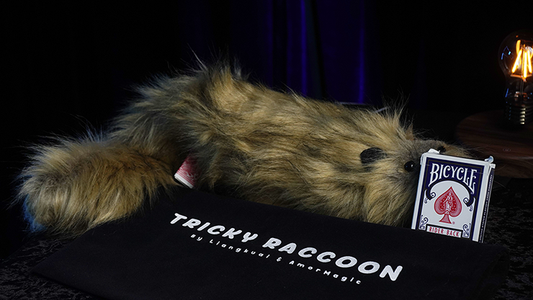 Tricky Raccoon by Liang Kuai & Amor Magic alternate view - Wizard Magic Shop