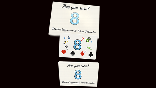 Are You Sure? by Damien Vappereau and Marc Céliandre alternate view - Wizard Magic Shop