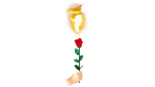 Instant Rose by Vincenzo DiFatta alternate view - Wizard Magic Shop