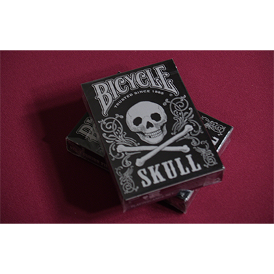 Bicycle Skull Metallic (Silver) USPCC by Gambler's Warehouse alternate view - Wizard Magic Shop