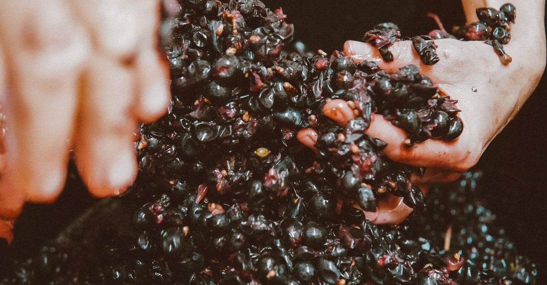 Sleight of Hand Winery & Magic: A Surprising Guide