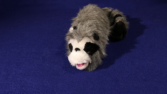 Roxie The Raccoon (Spring Animal) - Wizard Magic Shop