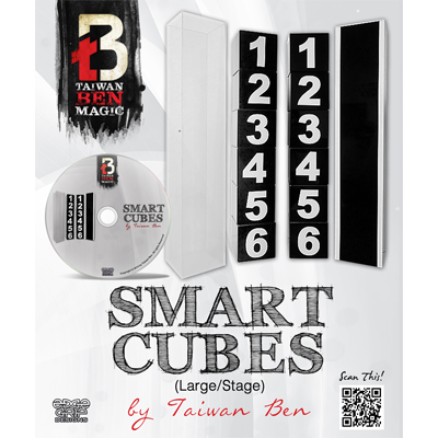Smart Cubes (Large / Stage) by Taiwan Ben - Trick - Wizard Magic Shop