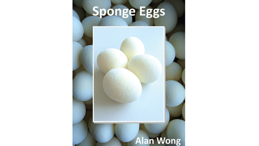 Sponge Eggs (4pk.) by Alan Wong - Trick - Wizard Magic Shop