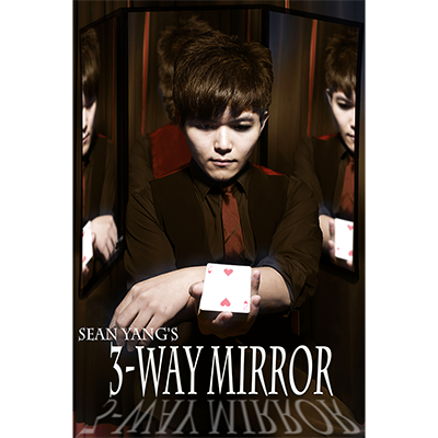 3-Way Mirror by Sean Yang and Magic Soul - Trick - Wizard Magic Shop