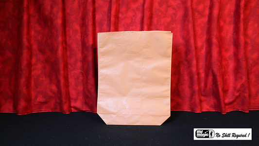 Grocery Pop Change Bag (Large) by Mr. Magic - Trick - Wizard Magic Shop