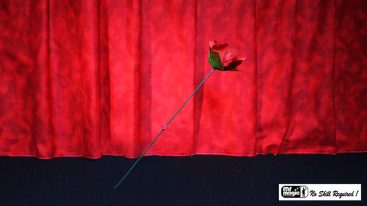 Torch to Rose by Mr. Magic - Trick - Wizard Magic Shop