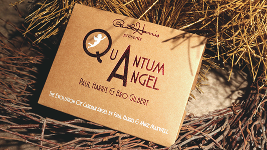 Paul Harris Presents Quantum Angel by Paul Harris - Trick - Wizard Magic Shop