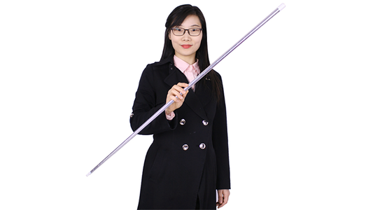 Appearing Cane (Plastic, SILVER) by JL Magic - Wizard Magic Shop
