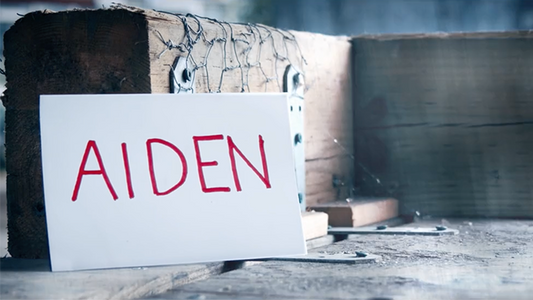 Aiden (DVD and Gimmicks) by Ryuhei Nakamura - DVD - Wizard Magic Shop