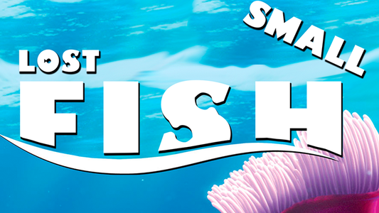 Lost Fish (Small) by Aprendemagia - Trick - Wizard Magic Shop
