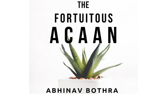 The Fortuitous ACAAN by Abhinav Bothra Mixed Media DOWNLOAD