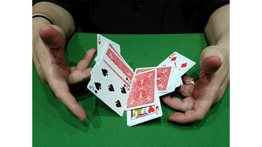 CIB: Cards In Bag (Gimmicks and Instructions) by Dominique Duvivier - Trick alternate view - Wizard Magic Shop