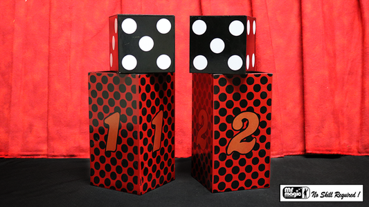 Passe Passe Dice by Mr. Magic - Trick - Wizard Magic Shop