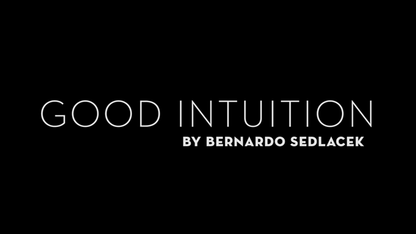 Good Intuition by Bernardo Sedlacek video DOWNLOAD