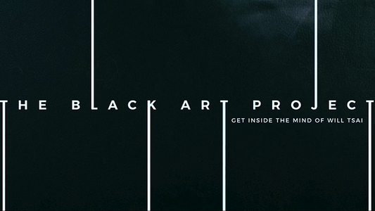 Black Art Project (ensemble de 2 DVD) par SansMinds - DVD 