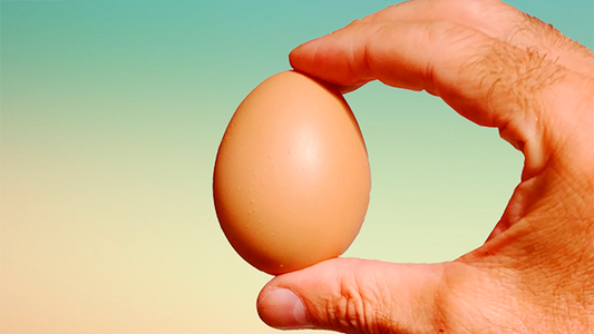 Fake Egg Brown by Quique Marduk alternate view - Wizard Magic Shop