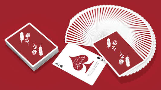Remedies Playing Cards by Madison x Schneider alternate view - Wizard Magic Shop