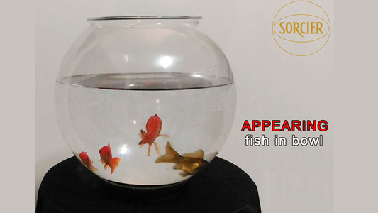 APPEARING FISH IN BOWL by Sorcier Magic - Wizard Magic Shop
