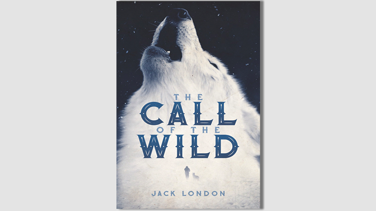 Test du livre Call of the Wild (instructions en ligne) par Josh Zandman - Astuce