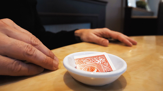 Switch Cup (Gimmicks and Online Instructions) by Jérôme Sauloup & Magic Dream - Trick alternate view - Wizard Magic Shop
