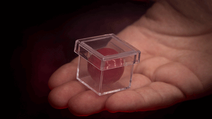 MAGIC CHAMBER (Gimmicks and Instructions) by Apprentice Magic - Trick